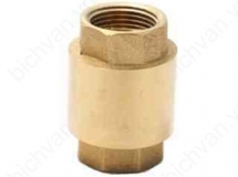 VAN MỘT CHIỀU ĐỒNG LÒ XO